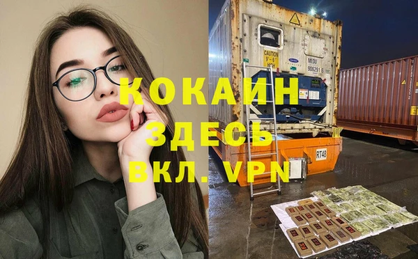 сатива Богородицк
