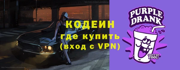 соль ск Богданович