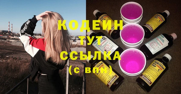 соль ск Богданович