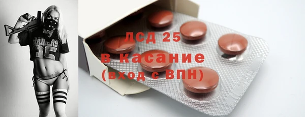 соль ск Богданович