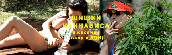 соль ск Богданович