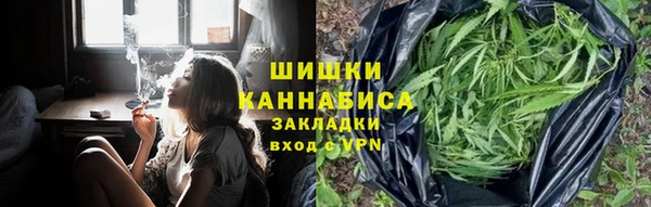 соль ск Богданович