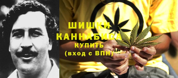 соль ск Богданович